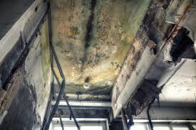 Best Mold Removal for HVAC Installations in Sconsin Rapids, WI